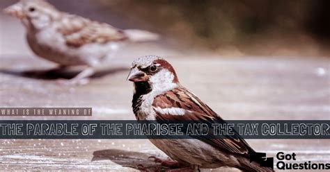 What is the meaning of the Parable of the Pharisee and the Tax ...