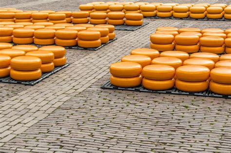 Premium Photo | Traditional dutch cheese market in alkmaar the netherlands