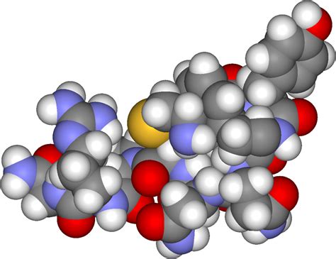 Vasopressin - Wikipedia