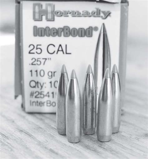 From Hollow-Points to Spitzers: A Quick Guide to Bullet Types | The Writer's Guide to Weapons