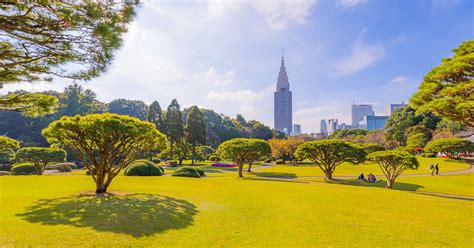 Shinjuku Gyoen National Garden: An Urban Eden in Tokyo