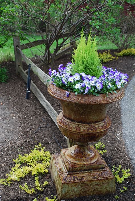 planter | Spring planter, Garden containers, Garden urns