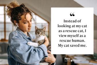 27 Cat Rescue Quotes to Celebrate a Second Chance | LoveToKnow Pets