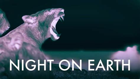 Night on Earth (2020) - Netflix Docuseries - Where To Watch