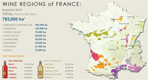 Wine Regions of FRANCE – Grape to Glass