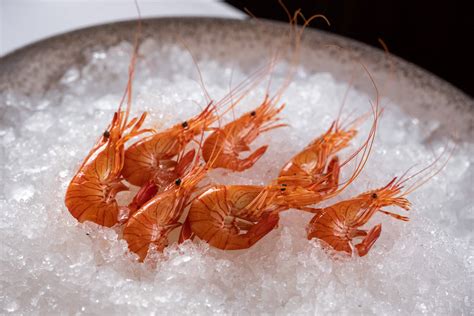 A Guide to Choosing the Best Seafood Restaurants in Porto