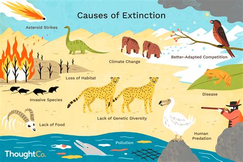 Let's Blog: THE SAD STORY OF EXTINCTED ANIMALS