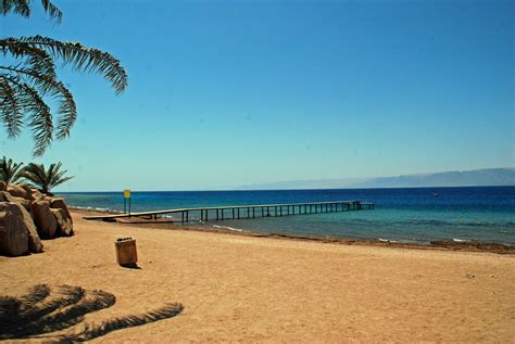 The Gulf of Aqaba (Jordan) - The Golden Scope