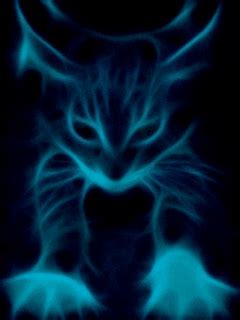 Neon Cat GIFs - Find & Share on GIPHY