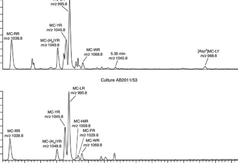 Liquid chromatography-mass spectrometry (LC-MS) chromatograms (m/z... | Download Scientific Diagram