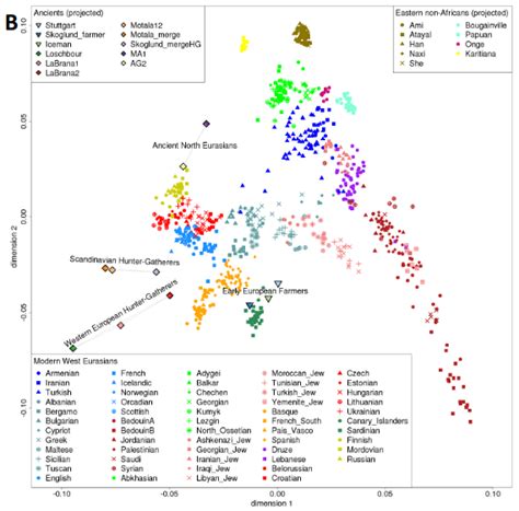 For what they were... we are: Ancient European DNA and some debatable conclusions