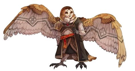 gwin the owlin paladin! [oc] : DnD | Dungeons and dragons characters ...