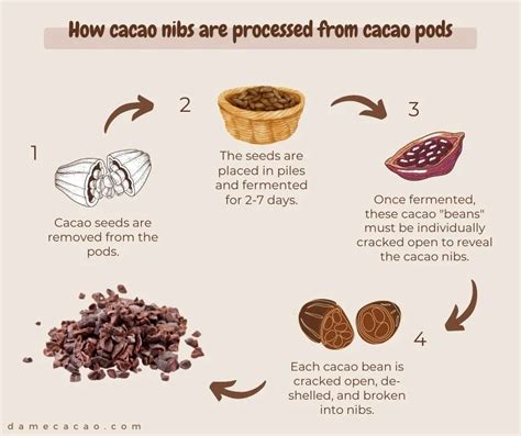 What Are Cacao Nibs? Nutrition, Benefits, Uses And Recipes, 55% OFF