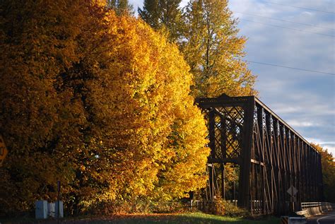 Fall Colors | November in Eugene, Oregon | Tom Borton | Flickr