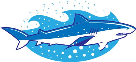 Shark clipart. Free download transparent .PNG | Creazilla