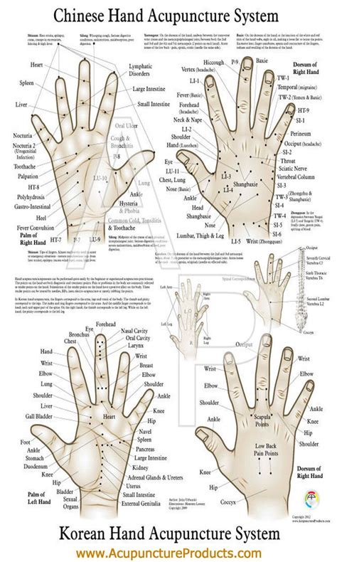 Hand Acupuncture Points Chart