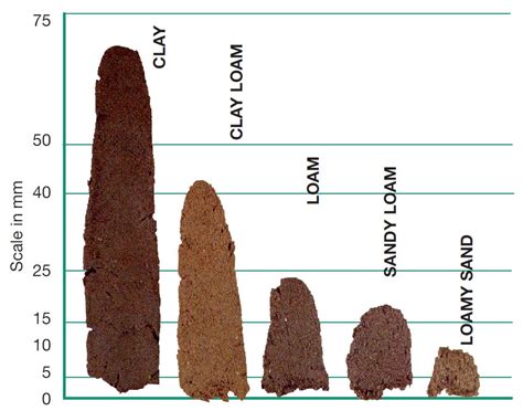 Soil Texture Chart