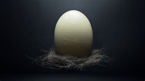 Is There A Nutritional Benefit To Eating Ostrich Eggs?