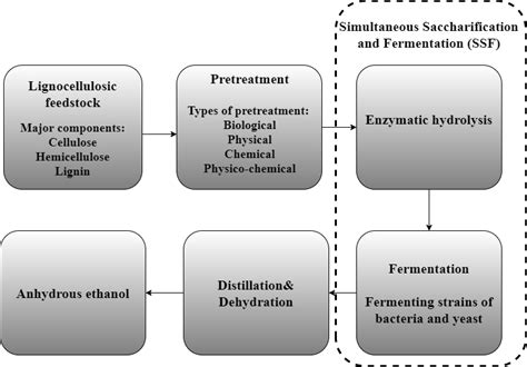 Major steps in bioethanol production | Download Scientific Diagram