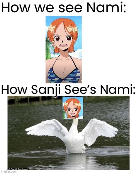 One Piece POV Meme Part 2: Nami-swan - Imgflip