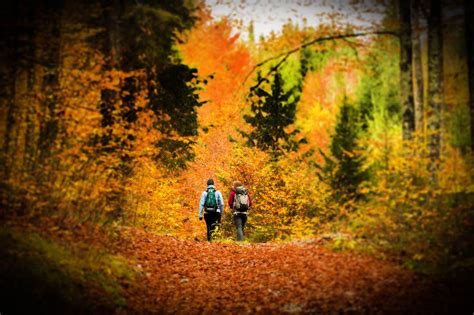 Autumn Trekking: Foliage in Abruzzo Park - Visit Scanno