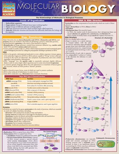 8108-53 Molecular Biology Chart