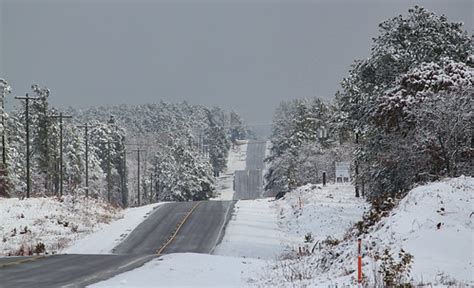 South Carolina Snow Storm | On the day after Christmas last … | Flickr