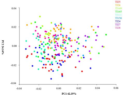 Characterization of Triatoma infestans (Klug, 1834) (Hemiptera: Heteroptera, Reduviidae) from ...