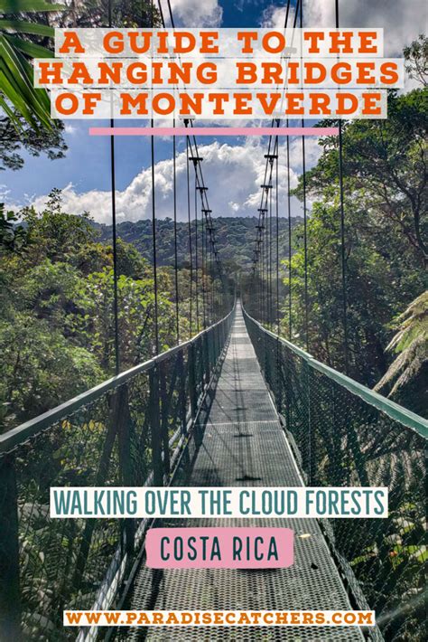 Hanging Bridges in Monteverde [2024 Guide]: Walking over the Cloud Forests – Paradise Catchers