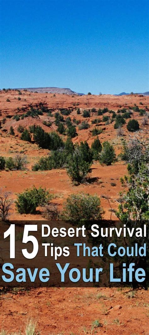 15 Desert Survival Tips That Could Save Your Life #Survival | Wilderness survival skills ...