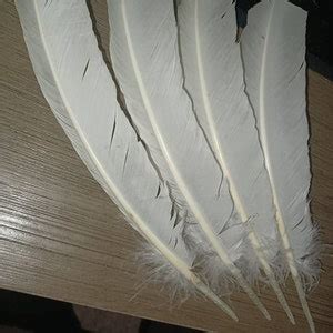 White Turkey Feathers, Pkg of 4, White Feathers, White Big Feathers, White Quill Feather, Magic ...