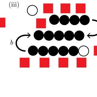 Mechanisms of protein aggregation included in this study. (i) Primary ...