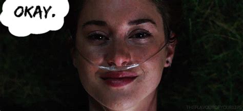 Shailene Woodley Tfios Movie GIF - Find & Share on GIPHY