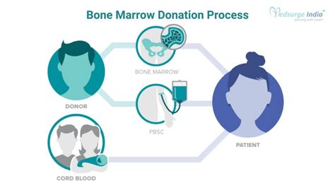 Bone Marrow Donation | Who Can Donate And How It Works