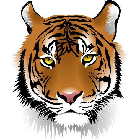 Clipart tiger roaring, Clipart tiger roaring Transparent FREE for ...