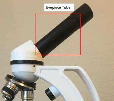 16 Parts of a Compound Microscope: Diagrams and Video – Microscope Clarity