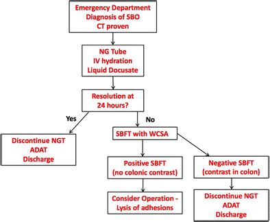 Protocol developed for small bowel follow through in patients with ...