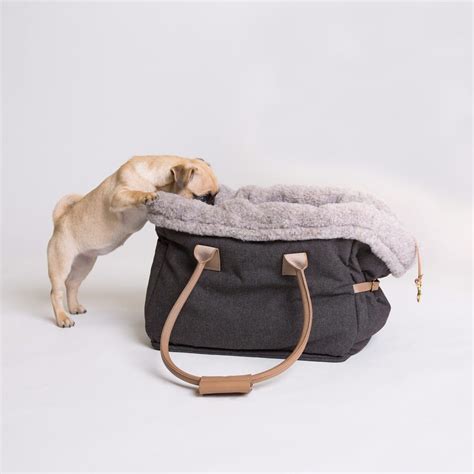 Dog Carrier by Cloud 7 » Gadget Flow