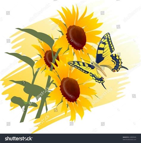 Sunflower And Butterfly Stock Vector Illustration 22890940 : Shutterstock