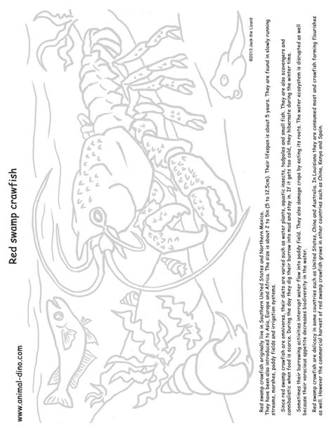 Swamp Animals Coloring Pages at GetColorings.com | Free printable colorings pages to print and color