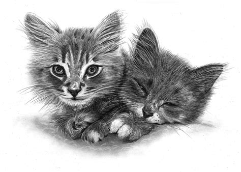 Pencil Pet Portraits from Photos - Drawings of Cats, Dogs & Horses