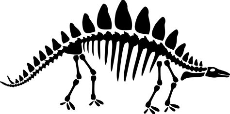 Dinosaur Fossil Clipart