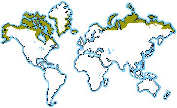 Tundra - Biomes Of The World