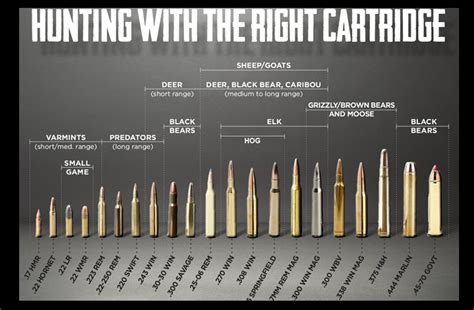 What are the best guns for hunting? : r/OffGrid