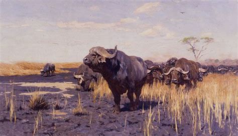 Pin by FvA on Buffalo. Buffel | Animal paintings, Animal drawings, Wildlife art