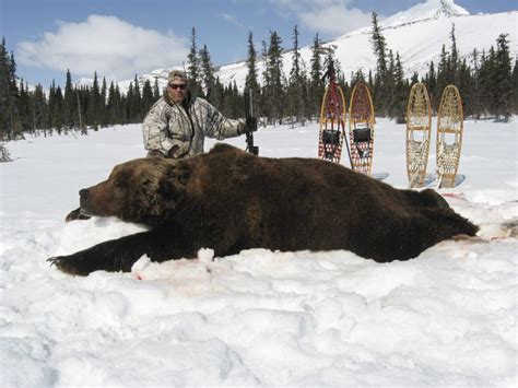 These Are The Biggest Grizzly Bear Kills In The Record Books ⋆ Outdoor Enthusiast Lifestyle Magazine