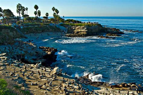 La Jolla Shores, San Diego, California l Beaches in California l Holidify