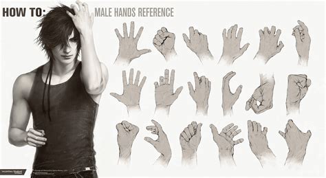 Valentina Remenar - Male Torso Anatomy and Hand References