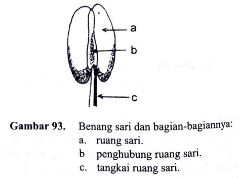 Bagian Bagian Benang Sari – Ujian