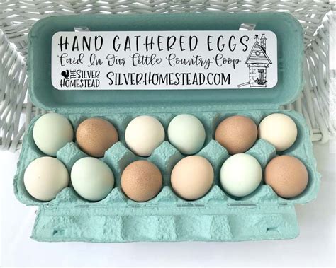 Free Egg Carton Label Template - FREE PRINTABLE TEMPLATES